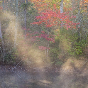 Images Dated 4th December 2023: USA, New Jersey, Pine Barrens National Preserve