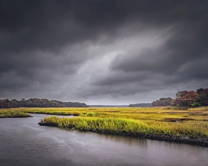 Marsh Prints: USA, New Jersey, Pine Barrens National Preserve