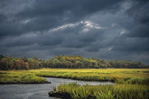 Marsh Prints: USA, New Jersey, Pine Barrens National Preserve