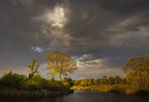 Images Dated 2nd July 2020: USA, New Jersey, Pinelands National Preserve. Stormy sky over sunrise lake scenic