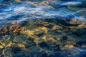 Jay Obrien Prints: USA, New Jersey, Pinelands National Reserve