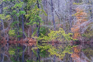 Jay Obrien Prints: USA, New Jersey, Pinelands National Reserve
