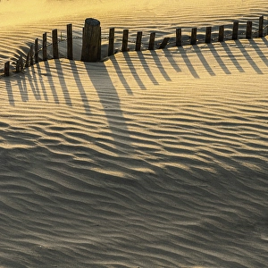 Jay Obrien Prints: USA, New Jersey, Wildwood. Fence makes shadow patterns in sand
