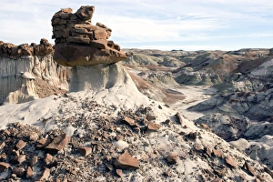 Images Dated 11th November 2006: USA, New Mexico, Bisti Badlands. Bisti Wilderness Area, known as the Bisti Badlands