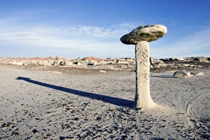 Images Dated 11th November 2006: USA, New Mexico, Bisti Badlands. Bisti Wilderness Area, known as the Bisti Badlands