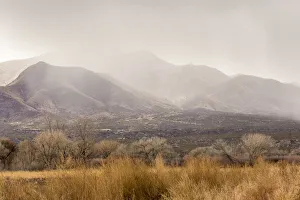 Images Dated 2nd April 2019: USA, New Mexico, Bosque del Apache National Wildlife Refuge