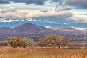 Images Dated 10th May 2024: USA, New Mexico, Bosque Del Apache National Wildlife Refuge