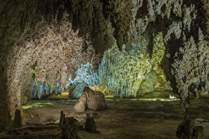 Stalagmite Prints: USA, New Mexico, Carlsbad Caverns. Scenic of cavern
