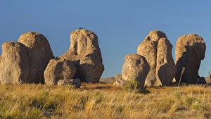 Raven Prints: USA, New Mexico, City of Rocks State Park