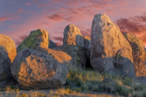 Images Dated 16th November 2014: USA, New Mexico, City of Rocks State Park