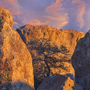 Images Dated 16th November 2014: USA, New Mexico, City of Rocks State Park. Sunset on boulders and tree. Credit as