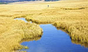 Vast Prints: USA, New Mexico, Jemez Mountains in Fall, Valles Caldera National Preserve