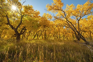 Images Dated 20th November 2023: USA, New Mexico, Jemez National Recreation Area