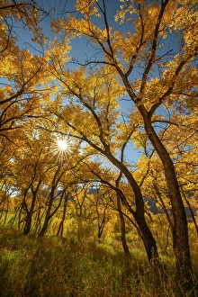 Images Dated 21st November 2023: USA, New Mexico, Jemez National Recreation Area