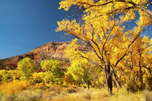 Images Dated 21st November 2023: USA, New Mexico, Jemez National Recreation Area