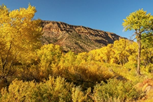 Images Dated 21st November 2023: USA, New Mexico, Jemez National Recreation Area