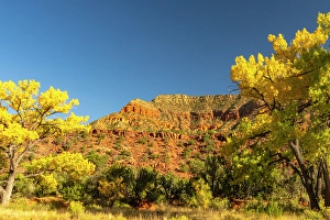 Images Dated 21st November 2023: USA, New Mexico, Jemez National Recreation Area