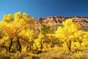 Images Dated 21st November 2023: USA, New Mexico, Jemez National Recreation Area