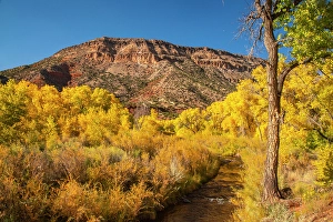 Images Dated 20th November 2023: USA, New Mexico, Jemez National Recreation Area