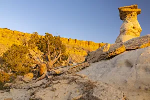 Images Dated 2nd July 2021: USA, New Mexico, Ojito Wilderness. Eroded desert rocks