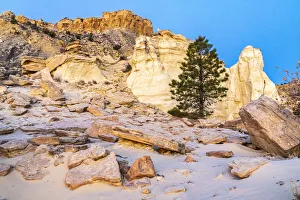Images Dated 2nd July 2021: USA, New Mexico, Ojito Wilderness. Desert landscape with rocks and formations