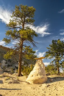 Images Dated 2nd July 2021: USA, New Mexico, Ojito Wilderness. Rock eroded into toadstool formation