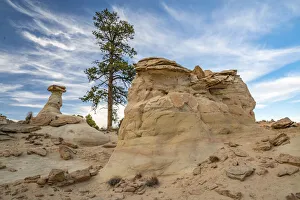 USA, New Mexico, Ojito Wilderness. Eroded desert rocks