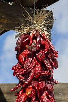Images Dated 15th November 2014: USA, New Mexico, Pinos Altos. Ristas hung to dry