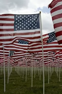 USA, New Mexico, Questa, Flag Memorial Honoring Americas Veterans