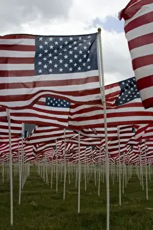 Frank Zurey Prints: USA, New Mexico, Questa, Flag Memorial Honoring Americas Veterans