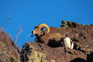 Images Dated 10th May 2024: USA, New Mexico, Rio Grande del Norte National Monument