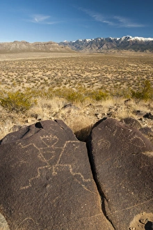 Images Dated 16th December 2013: USA, New Mexico, Three Rivers. Petroglyph on rock at Three Rivers Petroglyphs Site