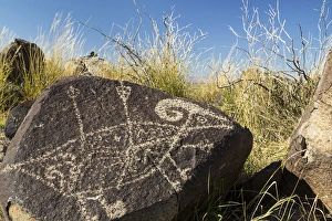 Images Dated 10th November 2014: USA, New Mexico, Three Rivers Petroglyph Site. Petroglyph etching on rock. Credit as