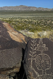 Images Dated 10th November 2014: USA, New Mexico, Three Rivers Petroglyph Site. Petroglyph etchings on rock. Credit as