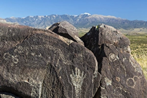 USA, New Mexico, Three Rivers Petroglyph Site. Petroglyph etchings on rocks. Credit as