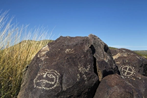 Images Dated 10th November 2014: USA, New Mexico, Three Rivers Petroglyph Site. Petroglyph etchings on rocks. Credit as