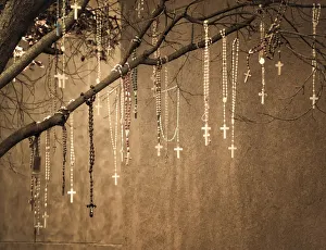 Hanging Prints: USA, New Mexico. Rosaries hang from a tree outside of the Loretto Chapel in Santa Fe