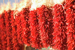 Hanging Prints: USA, New Mexico, Santa Fe: Downtown Santa Fe, Chili Pepper Ristras / Wreaths
