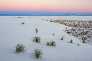 Images Dated 15th December 2013: USA, New Mexico, White Sands National Monument