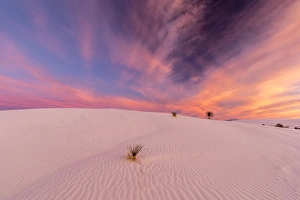 New Mexico Prints: USA, New Mexico, White Sands National Monument. Sunrise on desert sand. Credit as