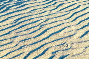 Images Dated 20th October 2022: USA, New Mexico, White Sands National Monument. Ripple patterns in white sand dune