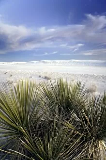 Images Dated 14th March 2007: USA, New Mexico, White Sands National Monument situated in the Tularosa Basin of