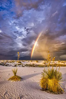 Rainbow Prints: USA, New Mexico, White Sands National Park. Thunderstorm rainbow over desert