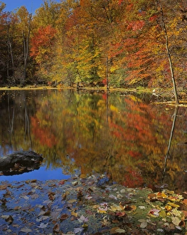 USA, New York, Adirondack Mountains, Autumn Pond, Putnam County