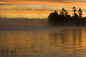 Images Dated 7th October 2008: USA, New York, Adirondack Mountains. Racquette Lake at sunrise