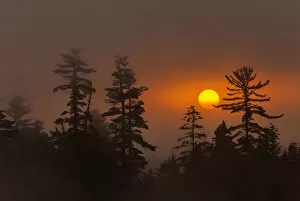 Images Dated 21st September 2007: USA, New York, Adirondack Mountains. Forest silhouette at sunset
