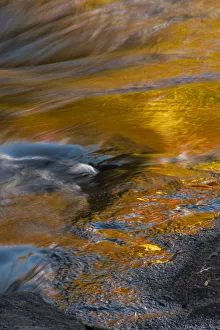 Images Dated 10th October 2018: USA, New York, Adirondack State Park. Autumn reflections on stream