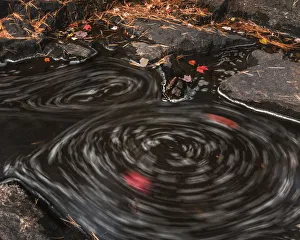 Images Dated 10th October 2018: USA, New York, Adirondack State Park. Close-up of stream eddy