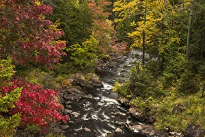 Images Dated 10th October 2018: USA, New York, Adirondack State Park. Stream and forest in autumn
