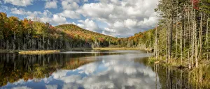 New York State Prints: USA, New York, Adirondacks. Autumn afternoon at Raquette Brook
